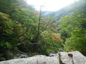 http://entotsuyama.hobby-web.net/kitah20n10g10.jpg