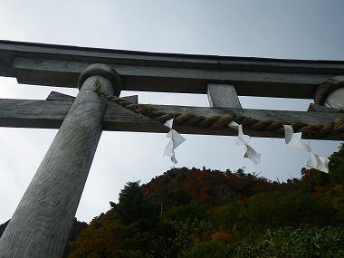 http://entotsuyama.hobby-web.net/IMGP1844.jpg