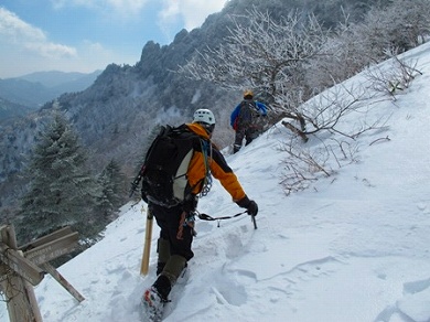 http://entotsuyama.hobby-web.net/toryo-10.jpg