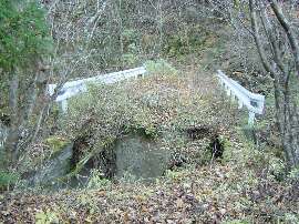 http://entotsuyama.hobby-web.net/11hashi.jpg