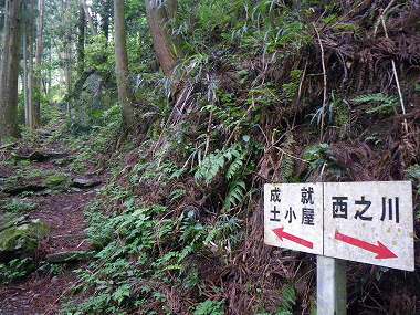 http://entotsuyama.hobby-web.net/nishinokawa36oji11.jpg