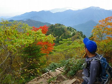 http://entotsuyama.hobby-web.net/IMGP1845.jpg