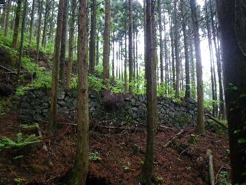 http://entotsuyama.hobby-web.net/suishou17.jpg