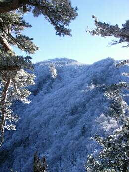 http://entotsuyama.hobby-web.net/img4989.jpg