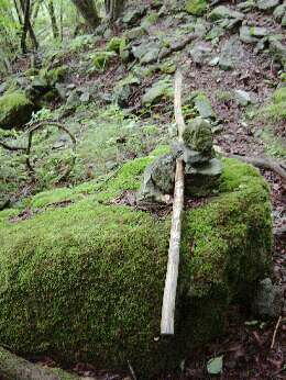 http://entotsuyama.hobby-web.net/img5089.jpg