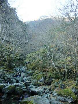 http://entotsuyama.hobby-web.net/12sawa.jpg