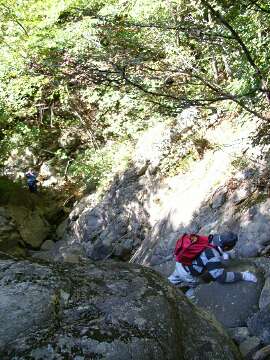 http://entotsuyama.hobby-web.net/14gake.jpg