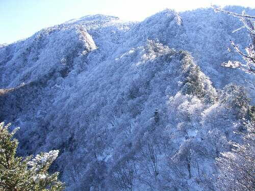 http://entotsuyama.hobby-web.net/img4990.jpg