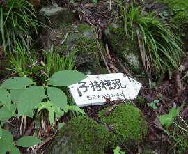 http://entotsuyama.hobby-web.net/img5090.jpg