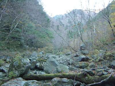 http://entotsuyama.hobby-web.net/13sawaaruku.jpg