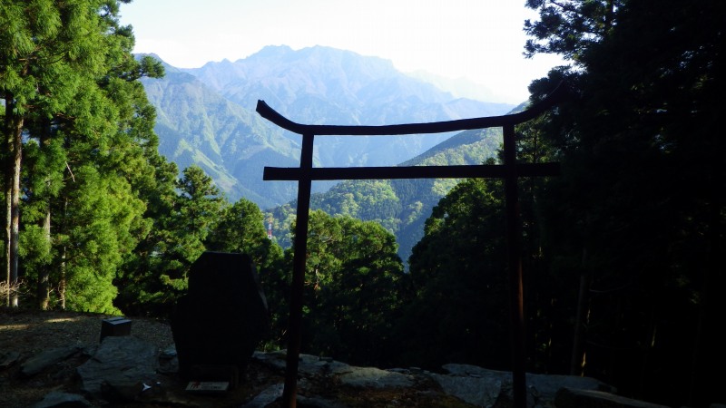 http://entotsuyama.hobby-web.net/IMGP2312.jpg