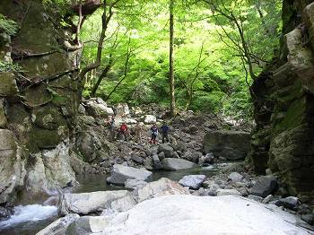 http://entotsuyama.hobby-web.net/ishikitajun14domon.jpg