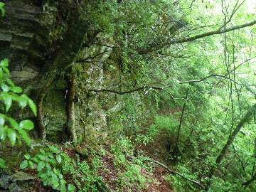 http://entotsuyama.hobby-web.net/suishou19.jpg