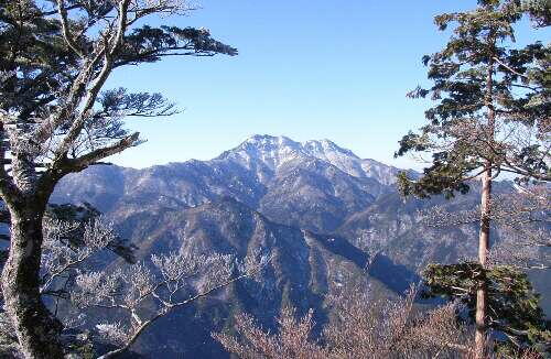 http://entotsuyama.hobby-web.net/img4991.jpg