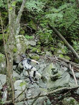 http://entotsuyama.hobby-web.net/img5091.jpg