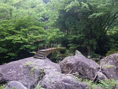 http://entotsuyama.hobby-web.net/nishinokawa36oji15.jpg