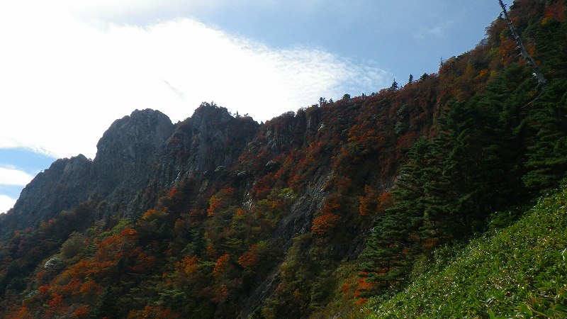 http://entotsuyama.hobby-web.net/IMGP1850.jpg