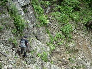 http://entotsuyama.hobby-web.net/img5092.jpg
