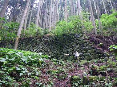 http://entotsuyama.hobby-web.net/nishinokawa36oji16.jpg