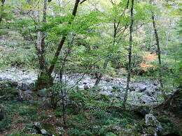 http://entotsuyama.hobby-web.net/img4760.jpg