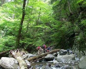 http://entotsuyama.hobby-web.net/ishikitajun16sawa.jpg