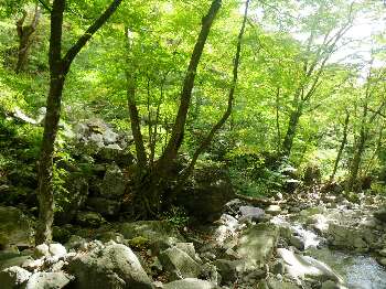 http://entotsuyama.hobby-web.net/kitah20n10g17.jpg