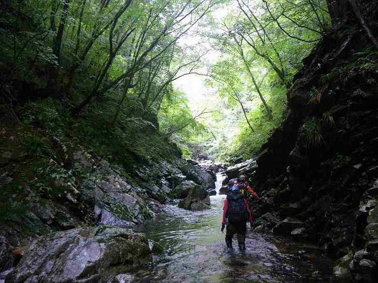 http://entotsuyama.hobby-web.net/banshodani18.jpg