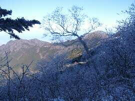 http://entotsuyama.hobby-web.net/img4993.jpg