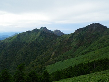 http://entotsuyama.hobby-web.net/IMGP1853.jpg