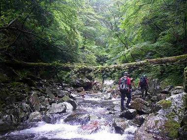 http://entotsuyama.hobby-web.net/banshodani19.jpg