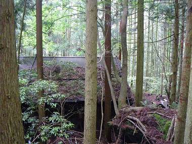 http://entotsuyama.hobby-web.net/nishinokawa36oji19.jpg