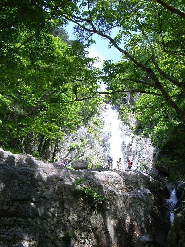 http://entotsuyama.hobby-web.net/ishikitajun19.jpg