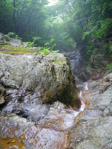 http://entotsuyama.hobby-web.net/suishou23.jpg