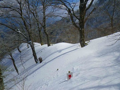 http://entotsuyama.hobby-web.net/toryo-22.jpg