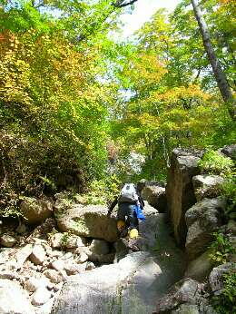 http://entotsuyama.hobby-web.net/img4763.jpg