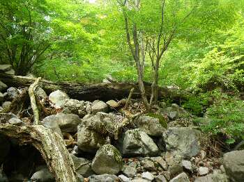 http://entotsuyama.hobby-web.net/kitah20n10g19.jpg