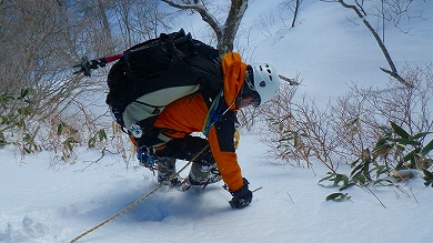 http://entotsuyama.hobby-web.net/toryo-24.jpg