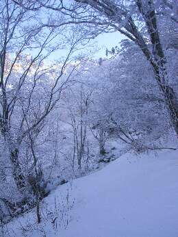 http://entotsuyama.hobby-web.net/img4996.jpg