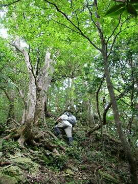 http://entotsuyama.hobby-web.net/img5096.jpg