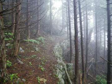 http://entotsuyama.hobby-web.net/suishou25.jpg