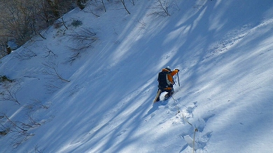 http://entotsuyama.hobby-web.net/toryo-25.jpg