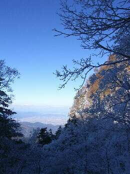 http://entotsuyama.hobby-web.net/img4997.jpg