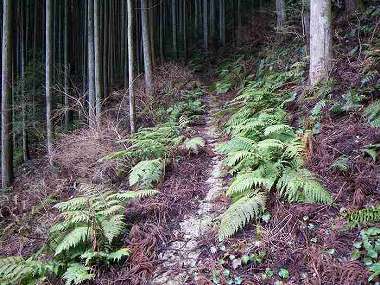 http://entotsuyama.hobby-web.net/itazuri28.jpg