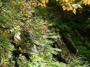 http://entotsuyama.hobby-web.net/kitah20n10g20add.jpg