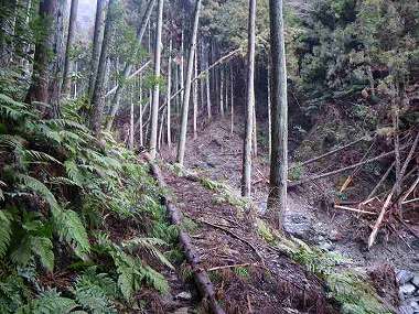 http://entotsuyama.hobby-web.net/itazuri29.jpg