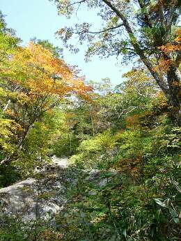 http://entotsuyama.hobby-web.net/img4788.jpg