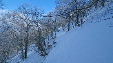 http://entotsuyama.hobby-web.net/toryo-27.jpg