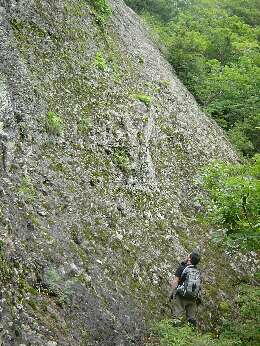 http://entotsuyama.hobby-web.net/img5099.jpg