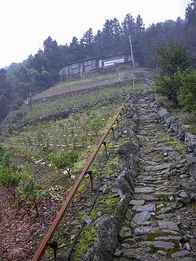 http://entotsuyama.hobby-web.net/ohjisha1st23.jpg