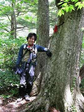 http://entotsuyama.hobby-web.net/ishikitajun35bunki.jpg